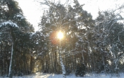 20160116_102834